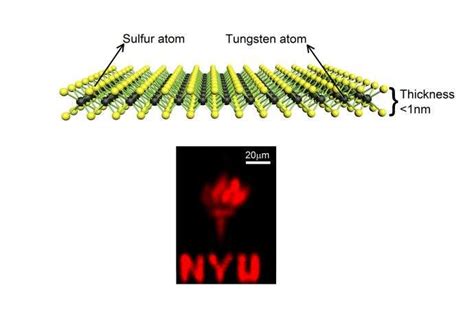  Tungsten Disulfide: Un rivoluzionario nano materiale per il futuro dell'elettronica flessibile?