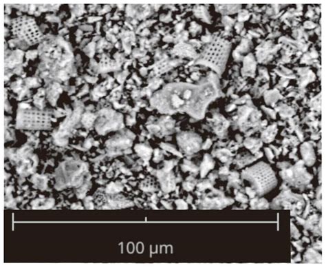  Diatomite: Un Materiale Poroso e Assorbente per una Vastà Gamma di Applicazioni Industriali!