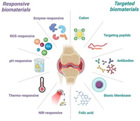  Fibrin: Il Nuovo Campione Del Biomateriali per Le Applicazioni Osteo-Articolari e la Ricostruzione Tissutale?