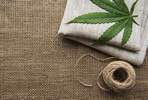  Hemp: Un Esplorazione delle sue Proprietà Tessili e dell'Innovazione Sostenibile che Propone!