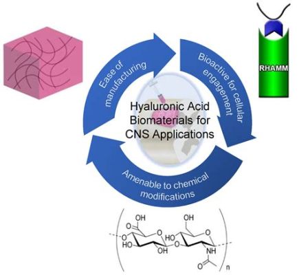 Hyaluronic Acid: Biocompatibilità e Versatilità nella Medicina Rigenerativa!