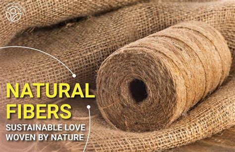  Jute: La fibra naturale che conquista il mondo della sostenibilità e dell'eco-design!