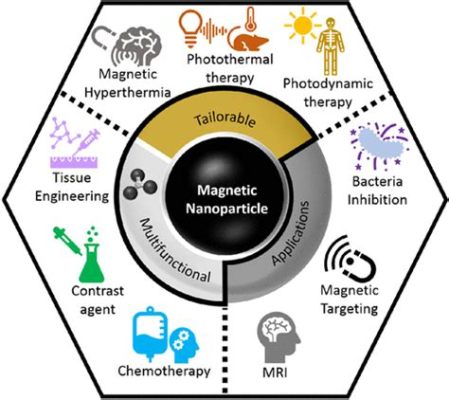  Magnetite: Un potente magnete per applicazioni biomediche rivoluzionarie!