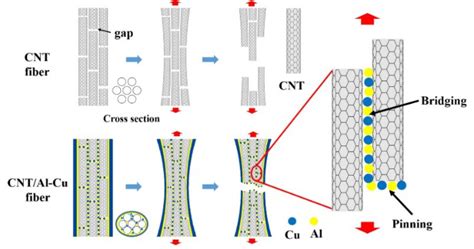 Nanotubi di Carbonio: Rivoluzione Industriale per Materiali Compositi Super Resistenti!