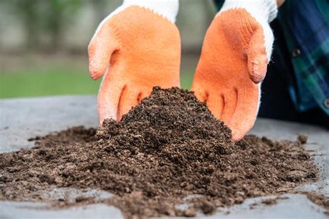 Peat Moss: A Sustainable Solution for Horticulture and Soil Improvement!