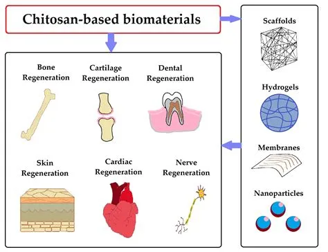  Quaternized Chitosan: A Revolutionary Biomaterial for Regenerative Medicine and Drug Delivery?